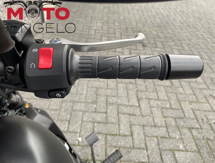 Kawasaki VULCAN S PERFORMANCE