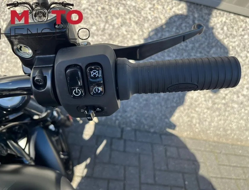 Indian CHIEF DARK HORSE