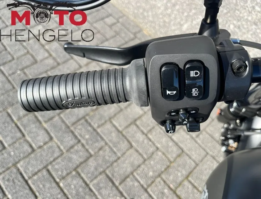 Indian CHIEF DARK HORSE