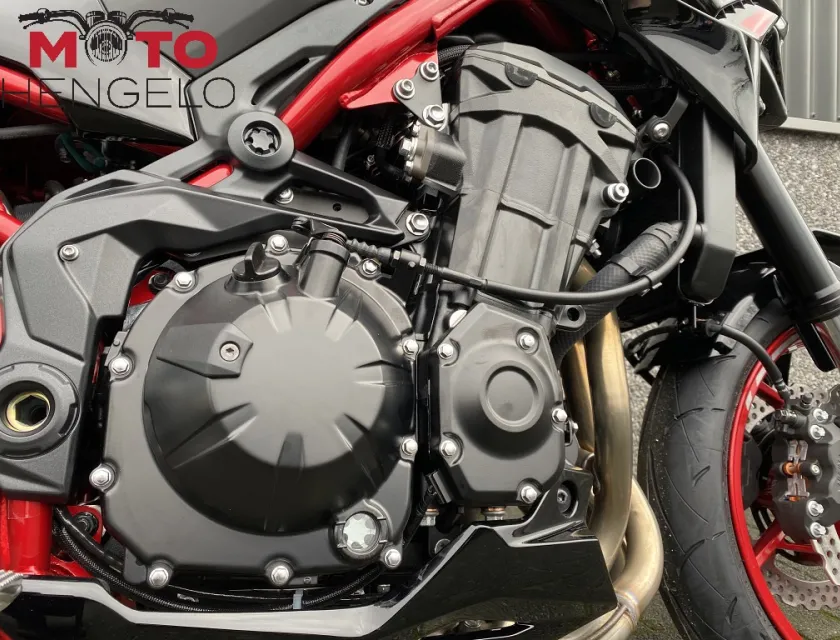 Kawasaki Z900 PERFORMANCE CARBON