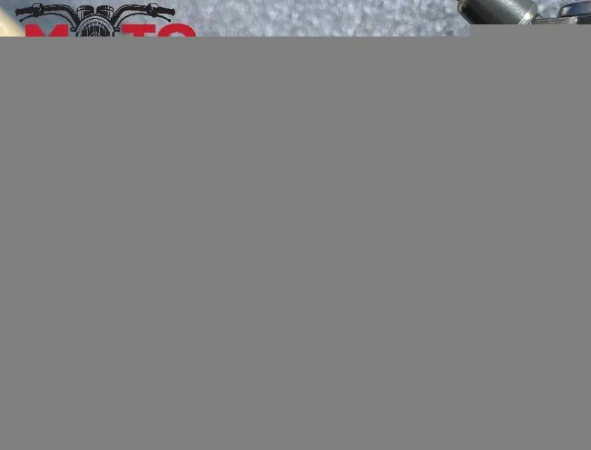 Yamaha FZ1 N FAZER ABS