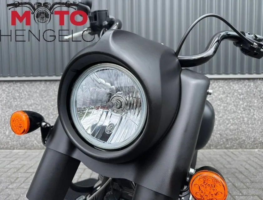 Indian CHIEF DARK HORSE