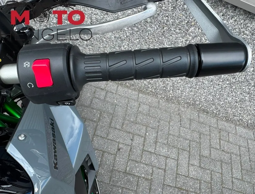 Kawasaki KLE500 SE